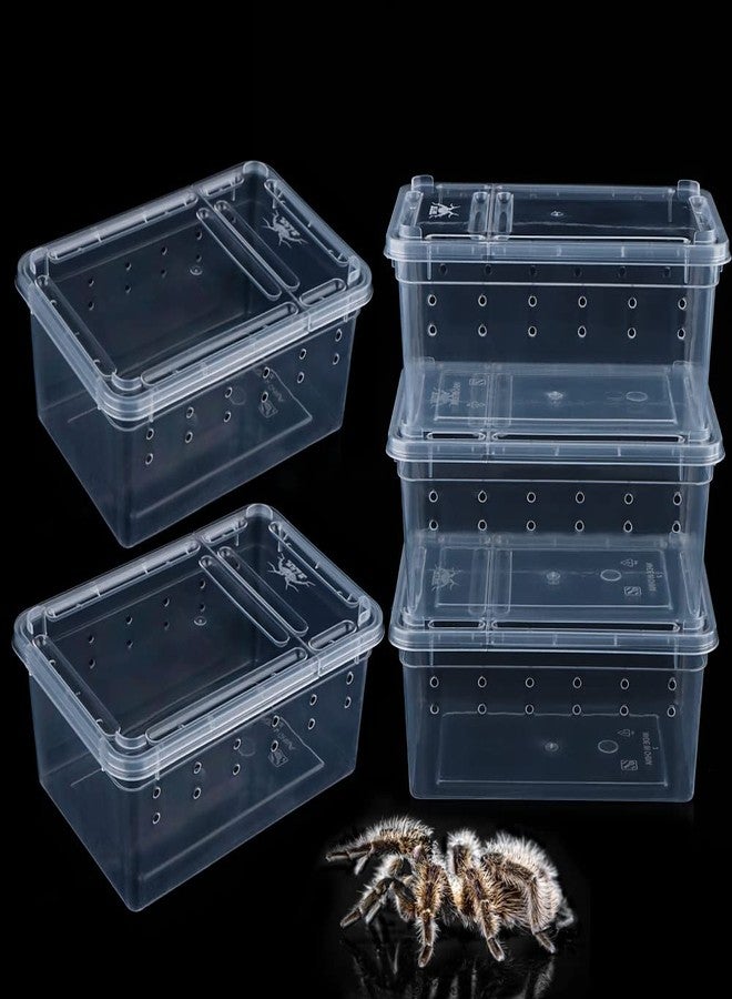 DQITJ 5 Pcs Spider Small Terrariums Breeding Box Transparent Hatching Container Plastic Feeding Box for Small Reptile Spider Scorpion Centipede Insect - Image 1